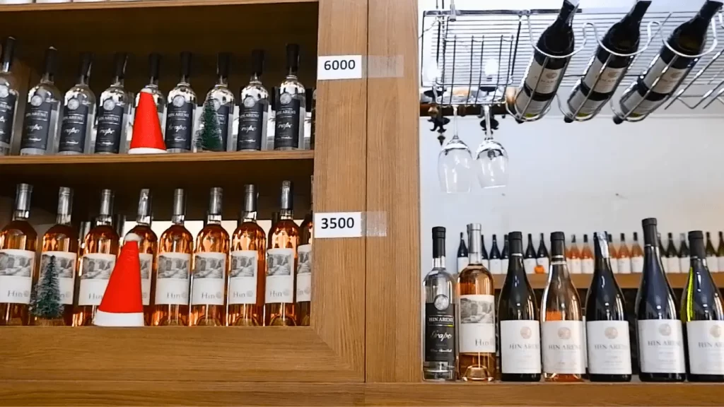 Armenia 101: The Ultimate Guide from Visa, Flights, Sim Card, Accommodation, and Things to See | Filipino Residents in UAE | Jizamiworld 2026 9 Areni Wine Factory min