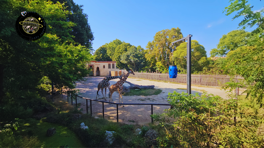 Roaming Rome As A Solo Filipina: My Travel Tips and Experience from Switzerland to the Eternal City | Jizamiworld 2026 RomE.zip 11